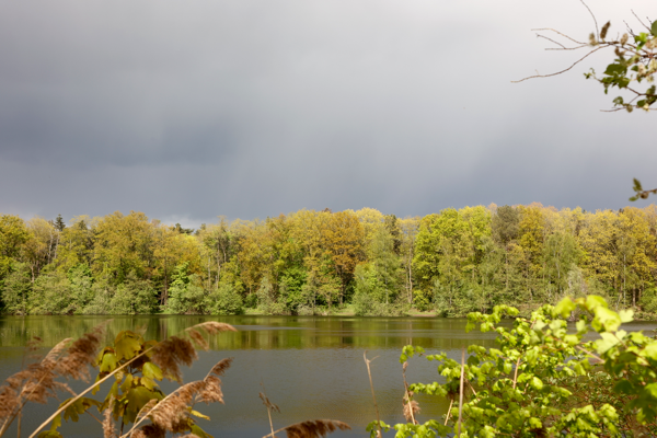 Calm before the storm