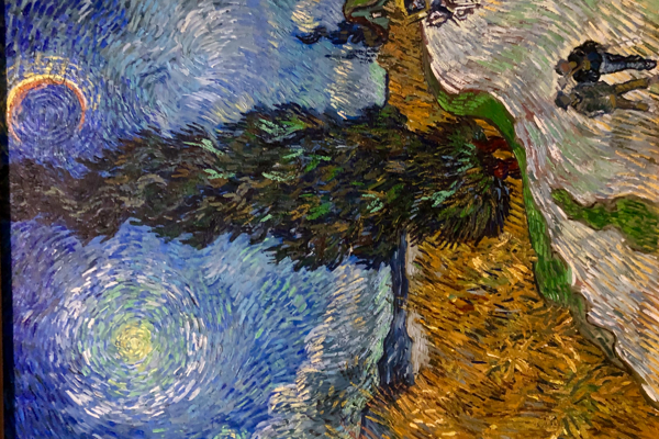 Country Road in Provence by Night