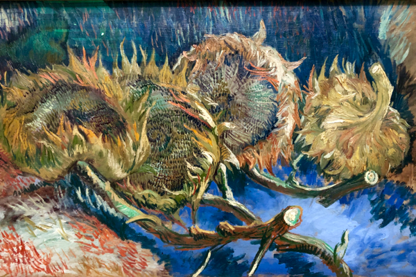 Four Sunflowers Gone to Seed