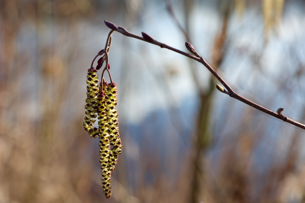 Fishing for compliments