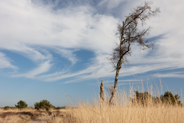 Vicissitudes of time