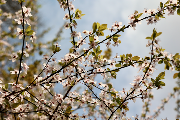 Slightly uncomfortable