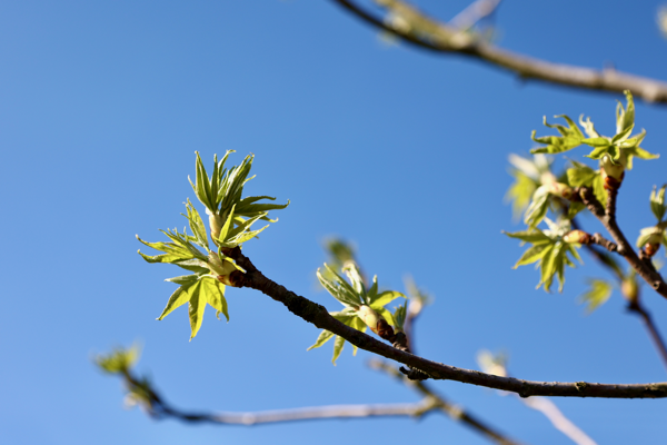 Unfamiliar sensations