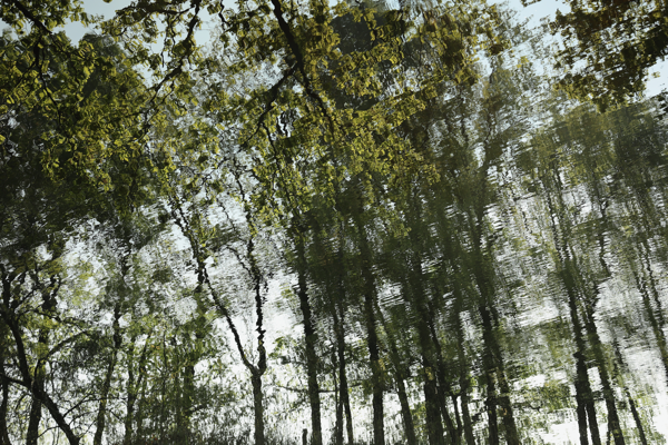 Dreaming with eyes open