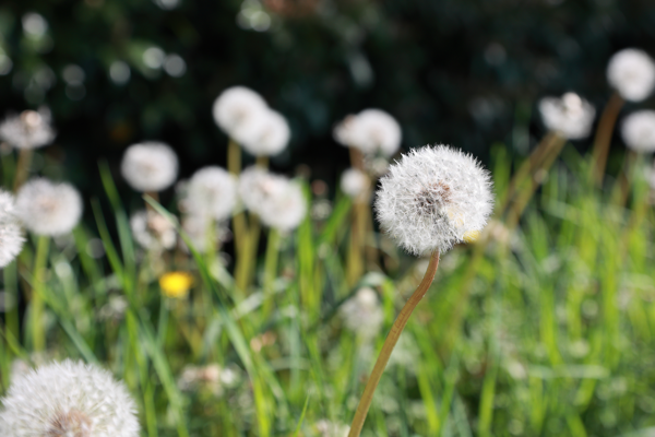 Standing out from the crowd