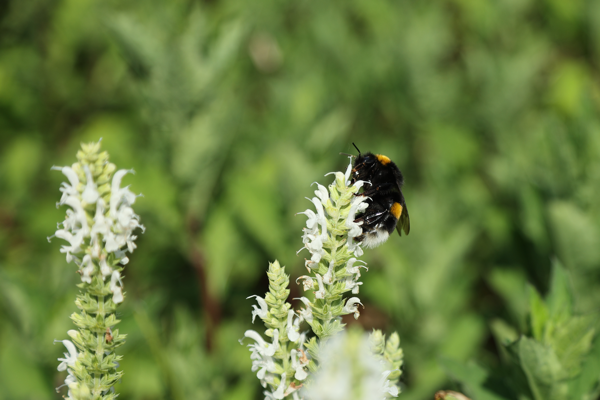 Unlimited perseverance