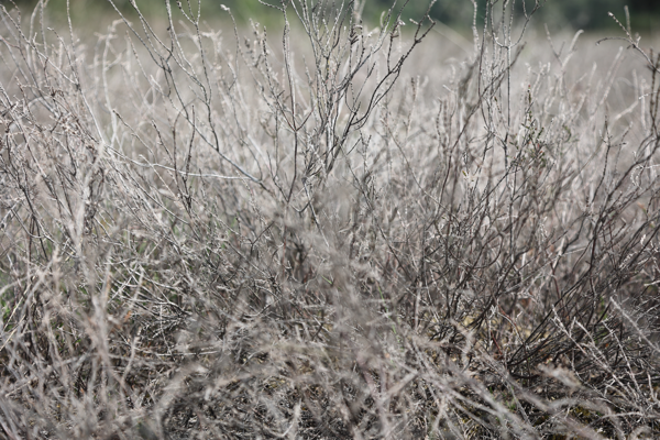 Moment of introspection