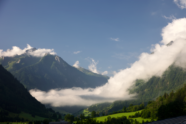 Gentle touch of morning