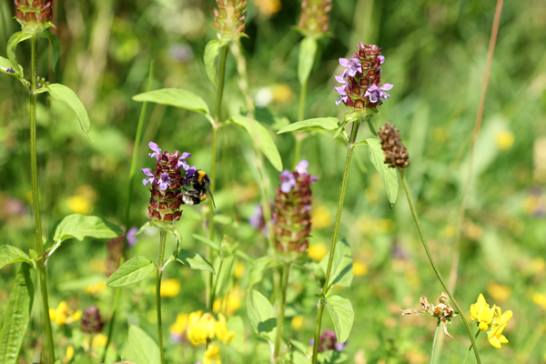 Another day in paradise