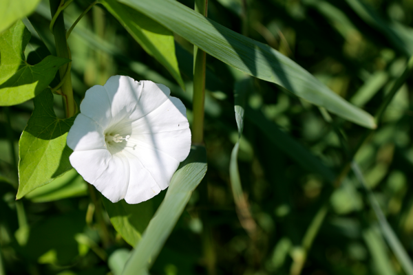 Light in the darkness