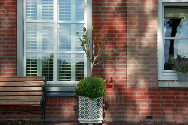 Shadows of stillness