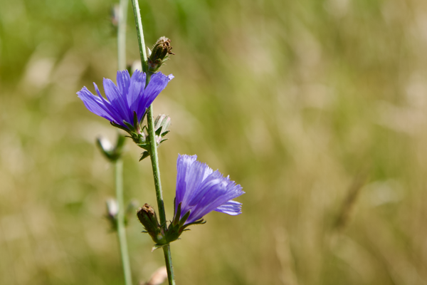 Laugh together, last together