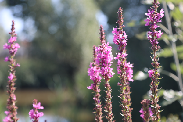 In the present moment