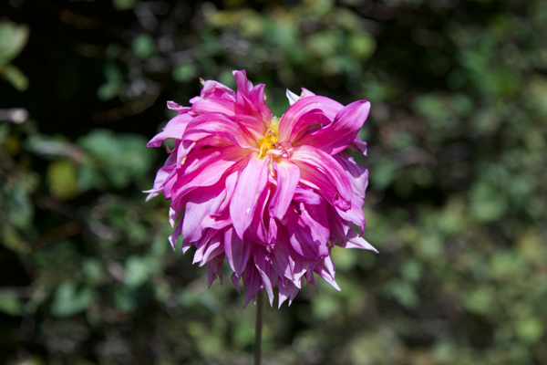 Rather thirsty than hungry