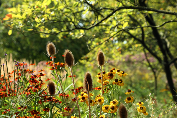 Heaven is a place on earth