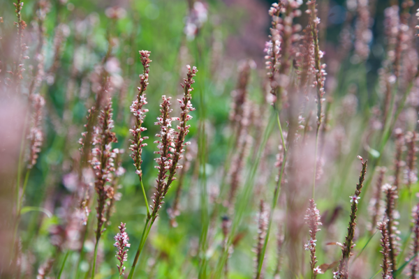 The power of attention