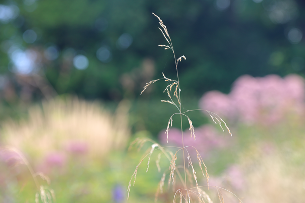 The strength of vulnerability