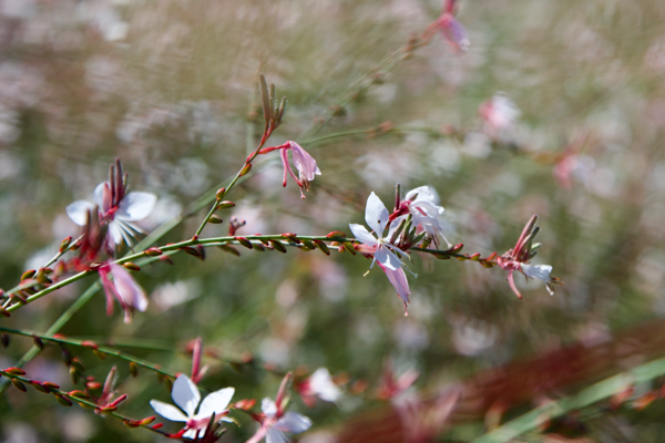 Filtering distractions