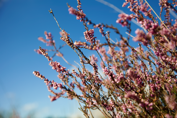 Welcomed with open arms