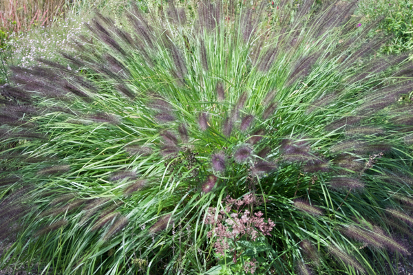 Don't stop the music