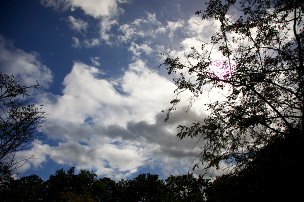 Too high, too far, too soon