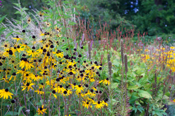 The same as all the rest