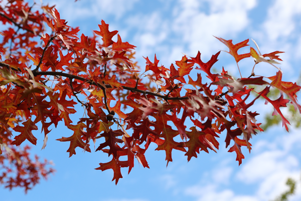 The energy of movement