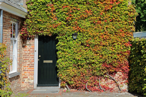 Nature always finds a way