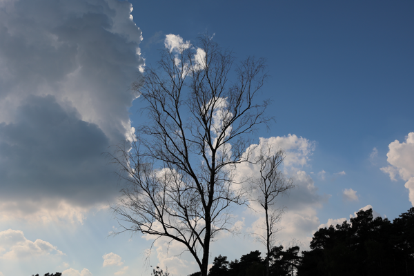 The calm before the storm