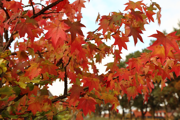 Waiting for the sun to shine