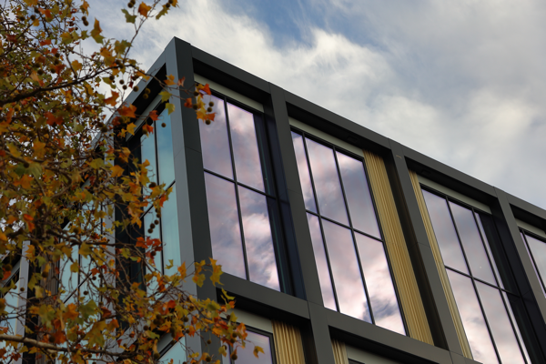 Thoughtful reflection