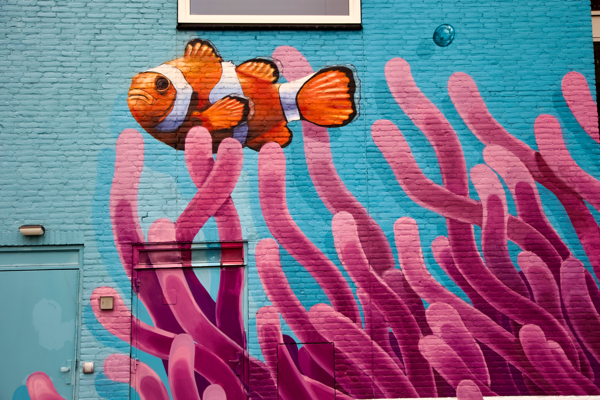 In search of the ocean