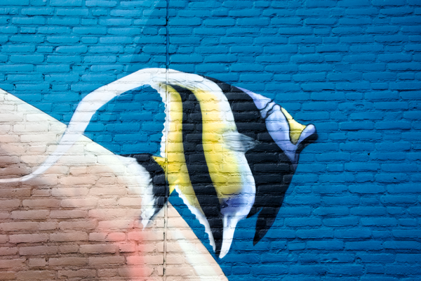 Like a fish in the water