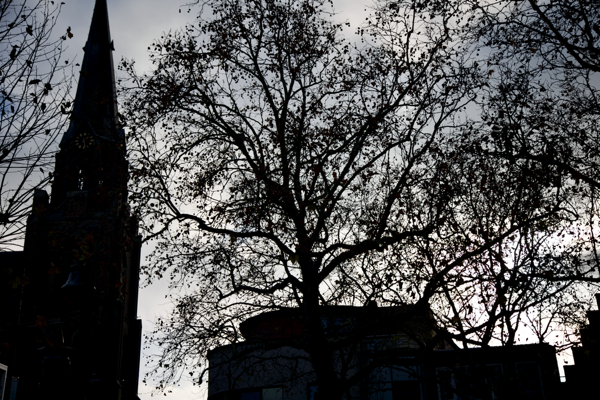 Mistery of muted colours