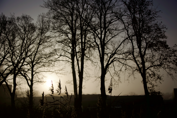 Let's fire up the day