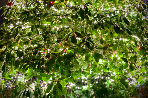 Laughing out the old year