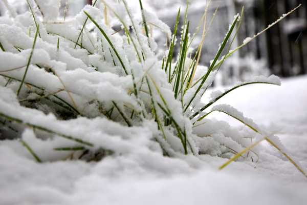 Stronger then a storm