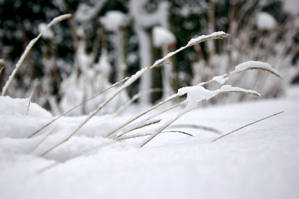 Buckle under pressure