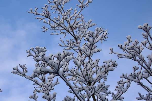 Embrace what comes your way