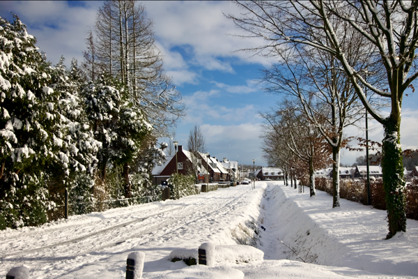 All the light that shines