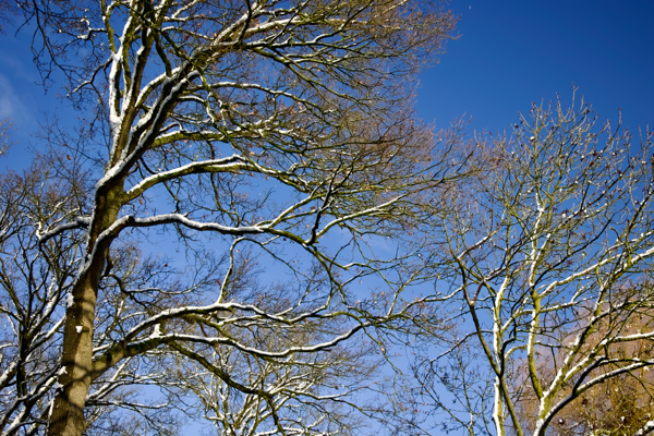 Delighted to be here