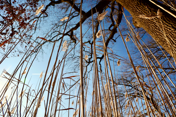 Feb- Upstanding citizens