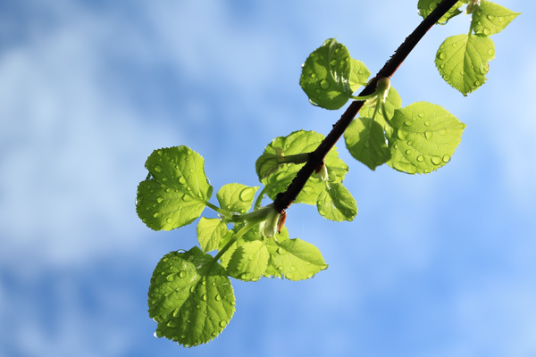 Apr- Thirsty for more