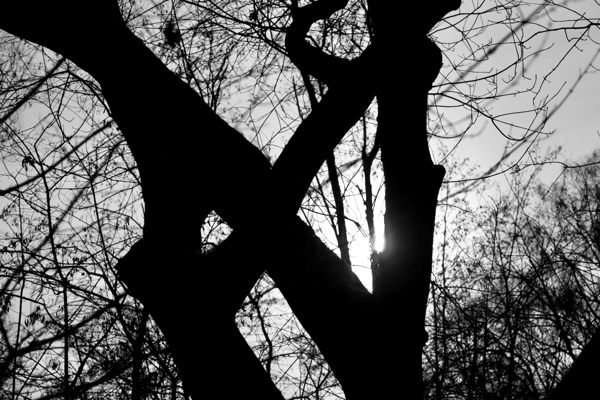 Shine in the darkness