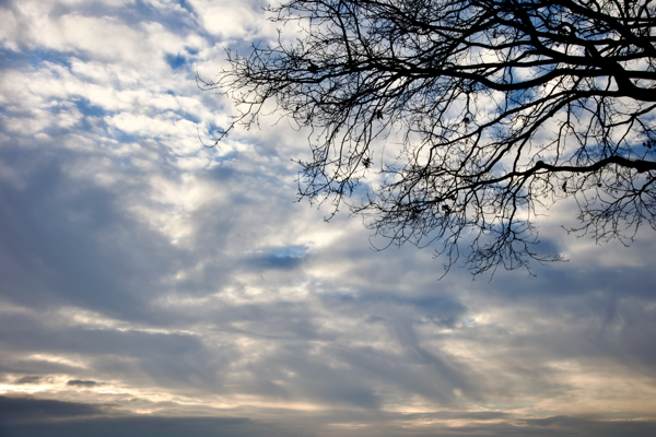 Beauty in turbulent times