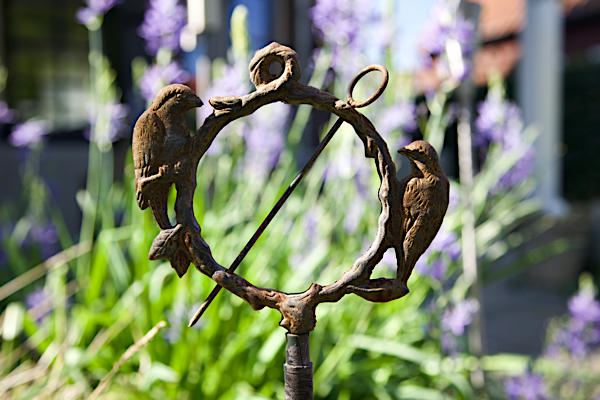 To wait of to fly away?