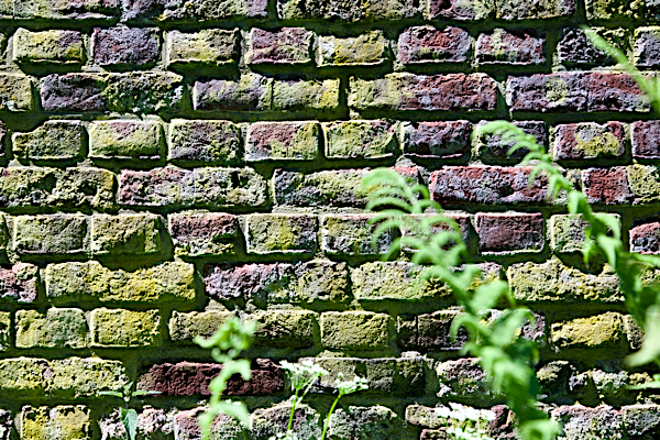 Carrying old bricks
