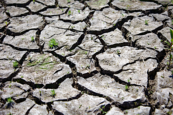 Longing for streams of water