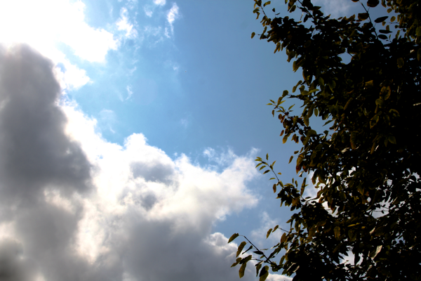 Elementals and forms