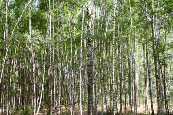 Boundaryless personal space